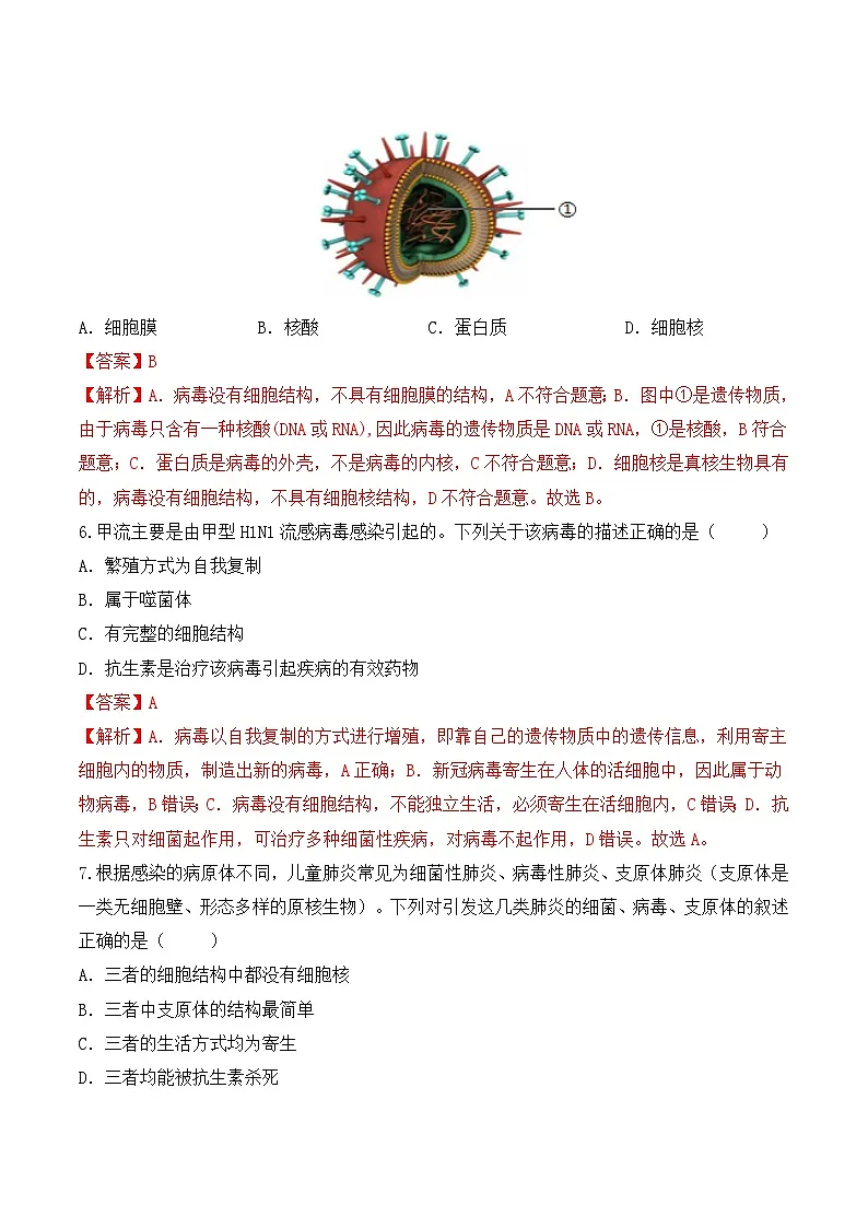 2.5.1真菌、细菌和病毒(分层作业)(解析版)第3页