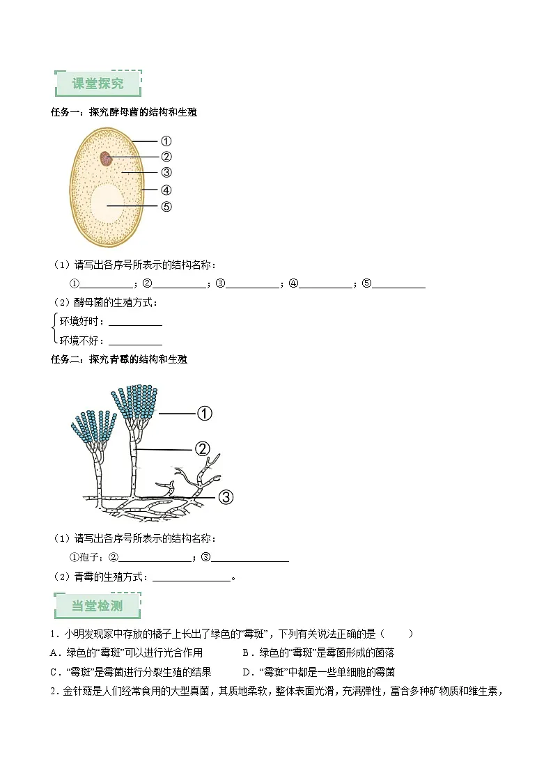 2.5.1真菌、细菌和病毒(第1课时)(原卷版)(导学案)第2页