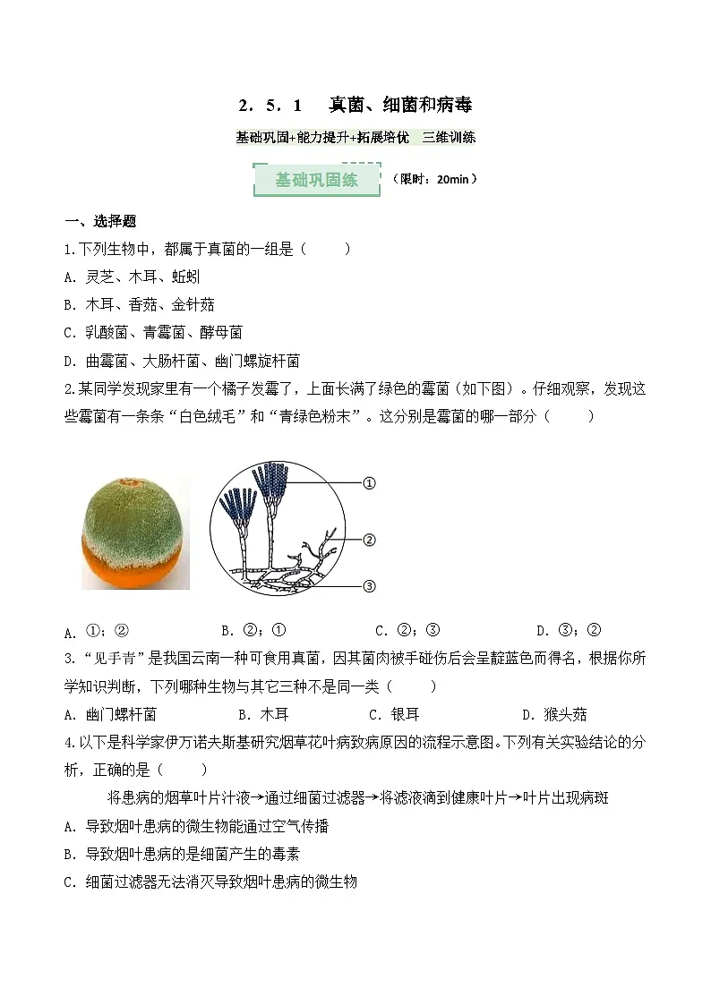 2.5.1真菌、细菌和病毒(分层作业)(原卷版)第1页