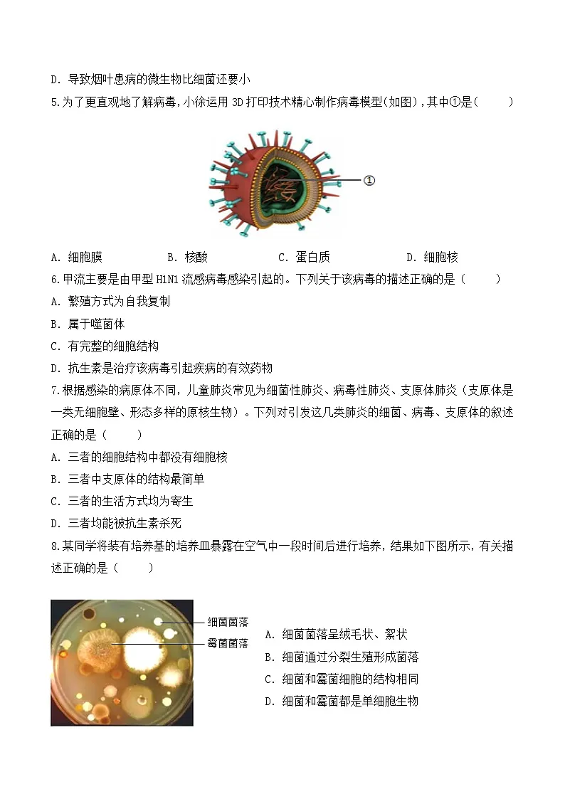 2.5.1真菌、细菌和病毒(分层作业)(原卷版)第2页
