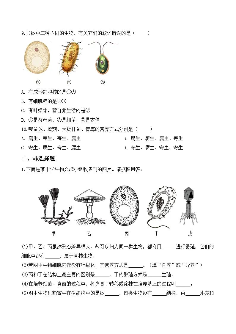 2.5.1真菌、细菌和病毒(分层作业)(原卷版)第3页
