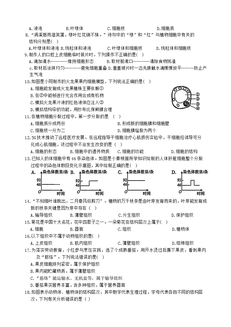 河北省唐山市滦南县2025-2026学年七年级上学期11月期中生物试题第2页