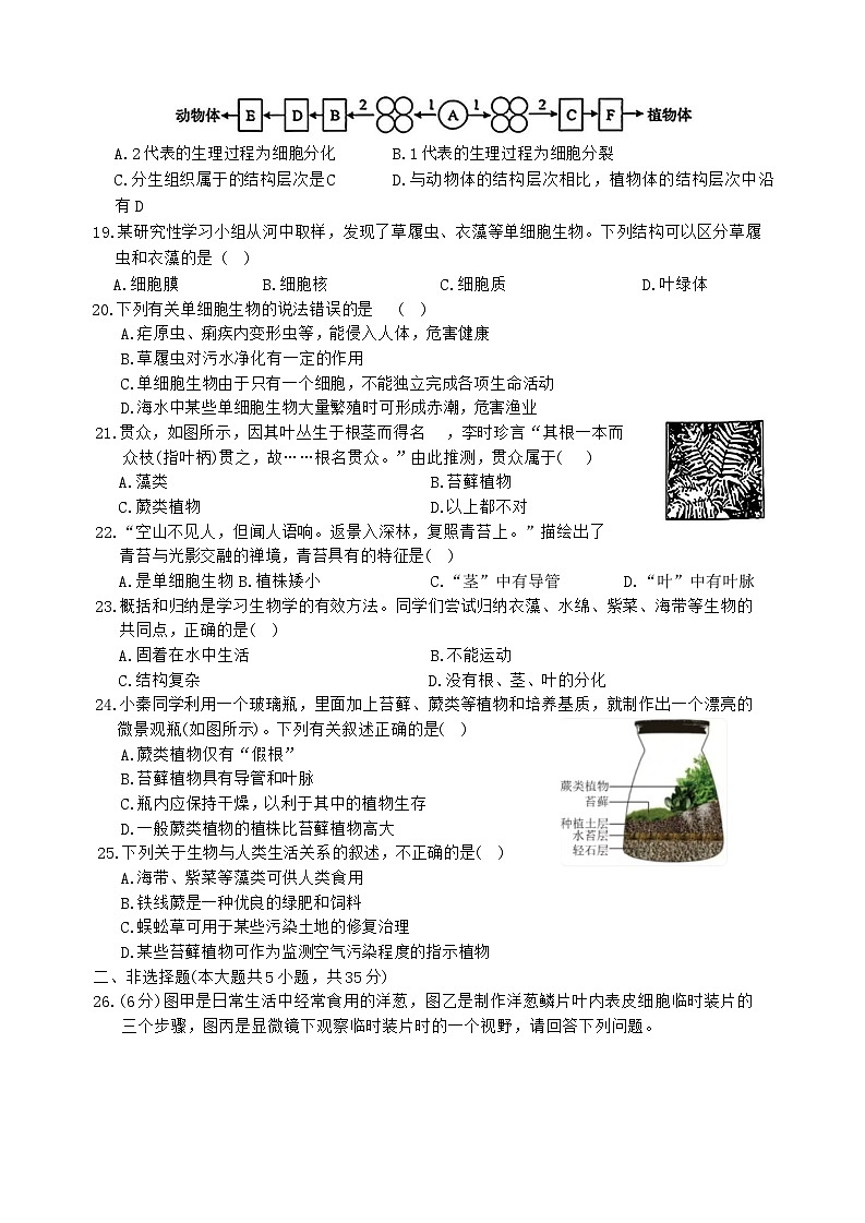 河北省唐山市滦南县2025-2026学年七年级上学期11月期中生物试题第3页