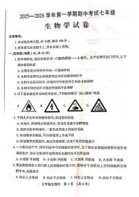 河南省洛阳市嵩县2025—2026学年七年级上学期期中考试生物试题