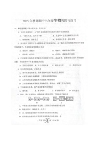 河南省南阳市内乡县2025-2026学年七年级上学期11月期中生物试题