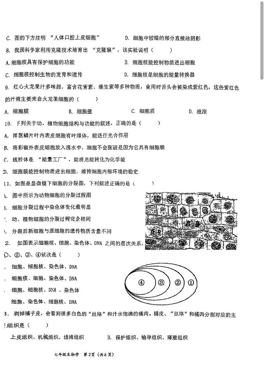 吉林省长春市二道区东北师范大学附属实验学校(经开)2025-2026学年七年级上学期11月期中生物试题第2页