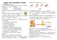 内蒙古鄂尔多斯市东胜区第一中学2025-2026学年七年级上学期期中考试生物试题