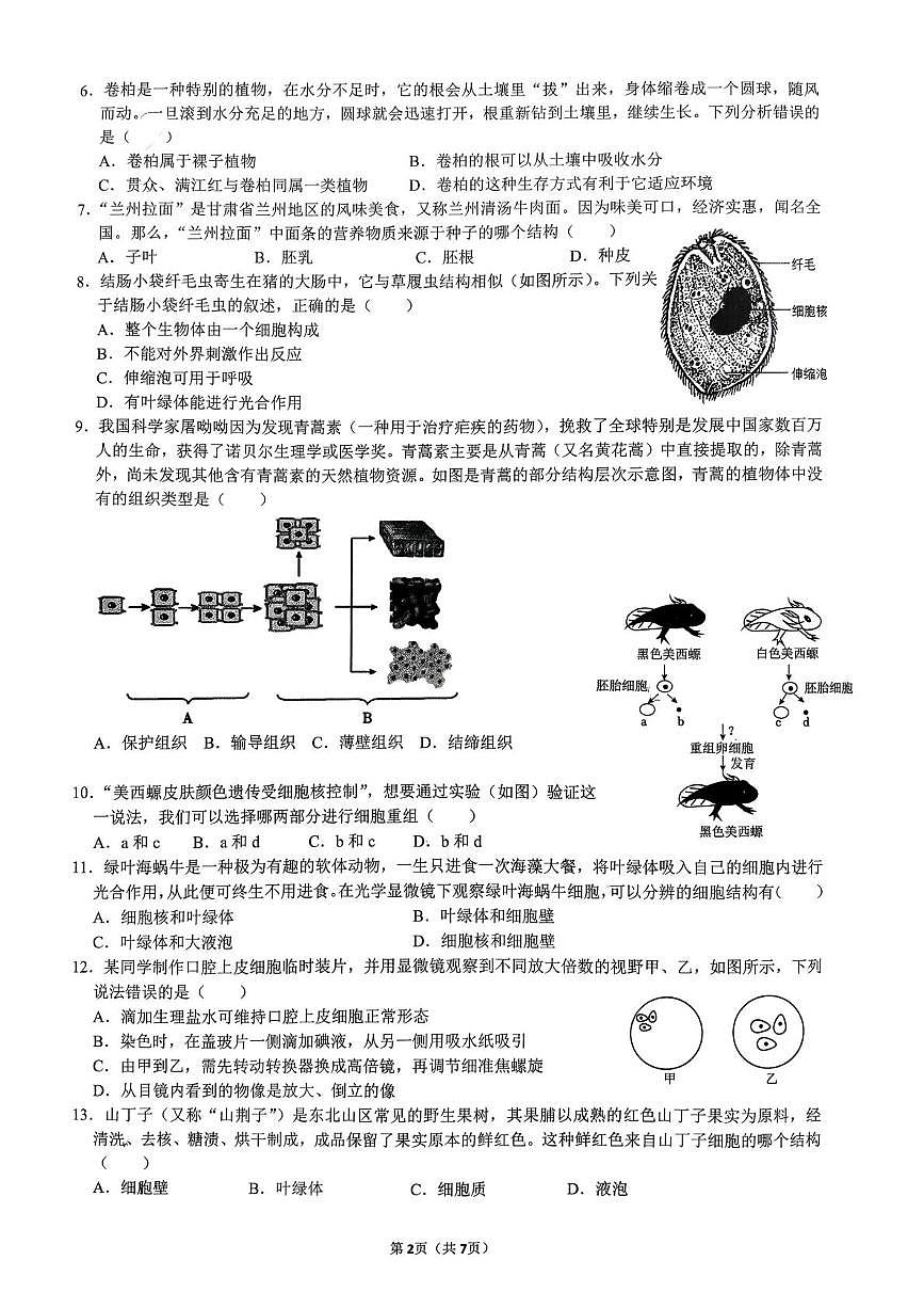 山东省日照市东港区日照港中学2025-2026学年七年级上学期期中考试生物试题第2页