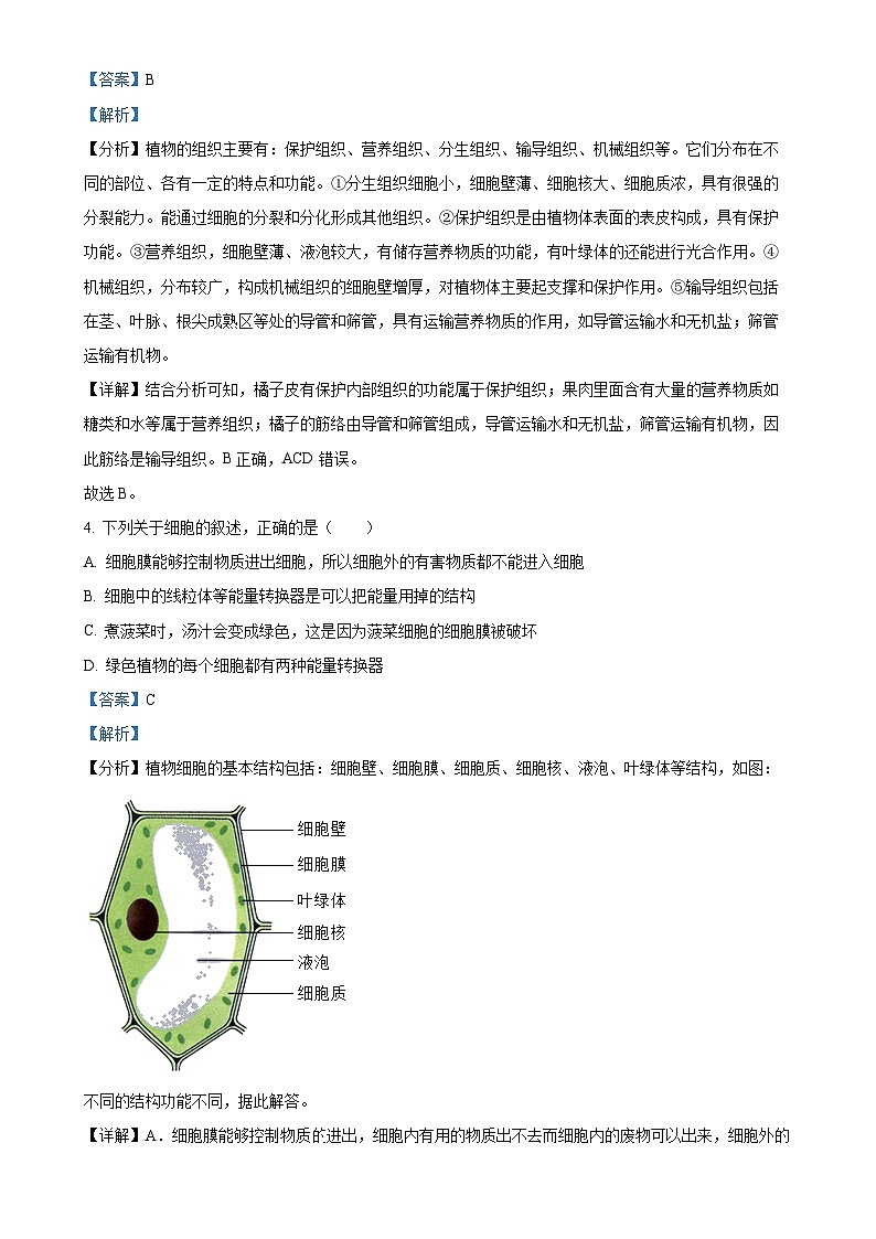 安徽省池州市2七年级上学期期中生物试题(解析版)-A4第2页