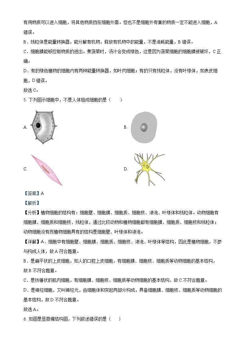 安徽省池州市2七年级上学期期中生物试题(解析版)-A4第3页