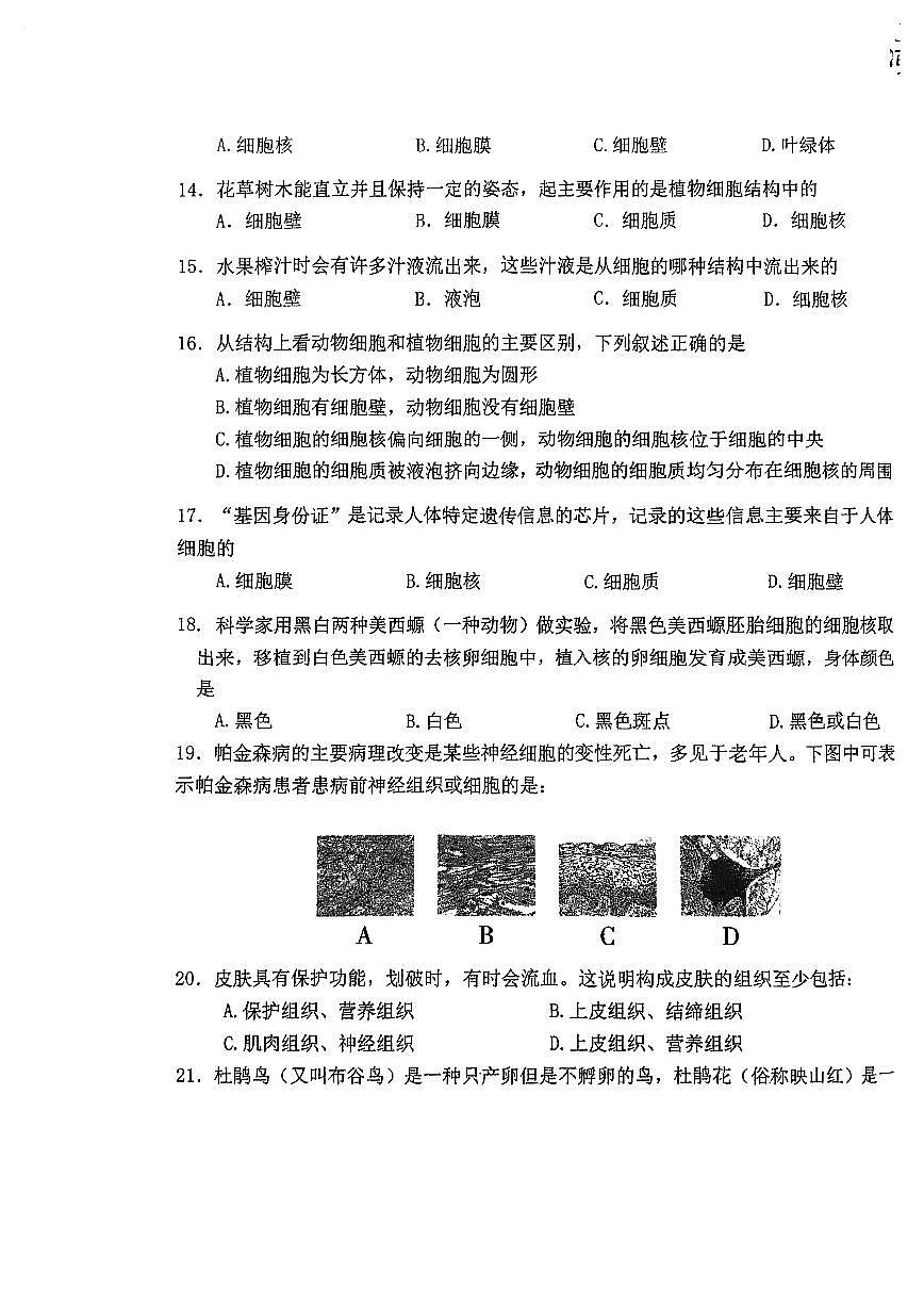 2025北京一零九中初一(上)期中生物试卷第3页