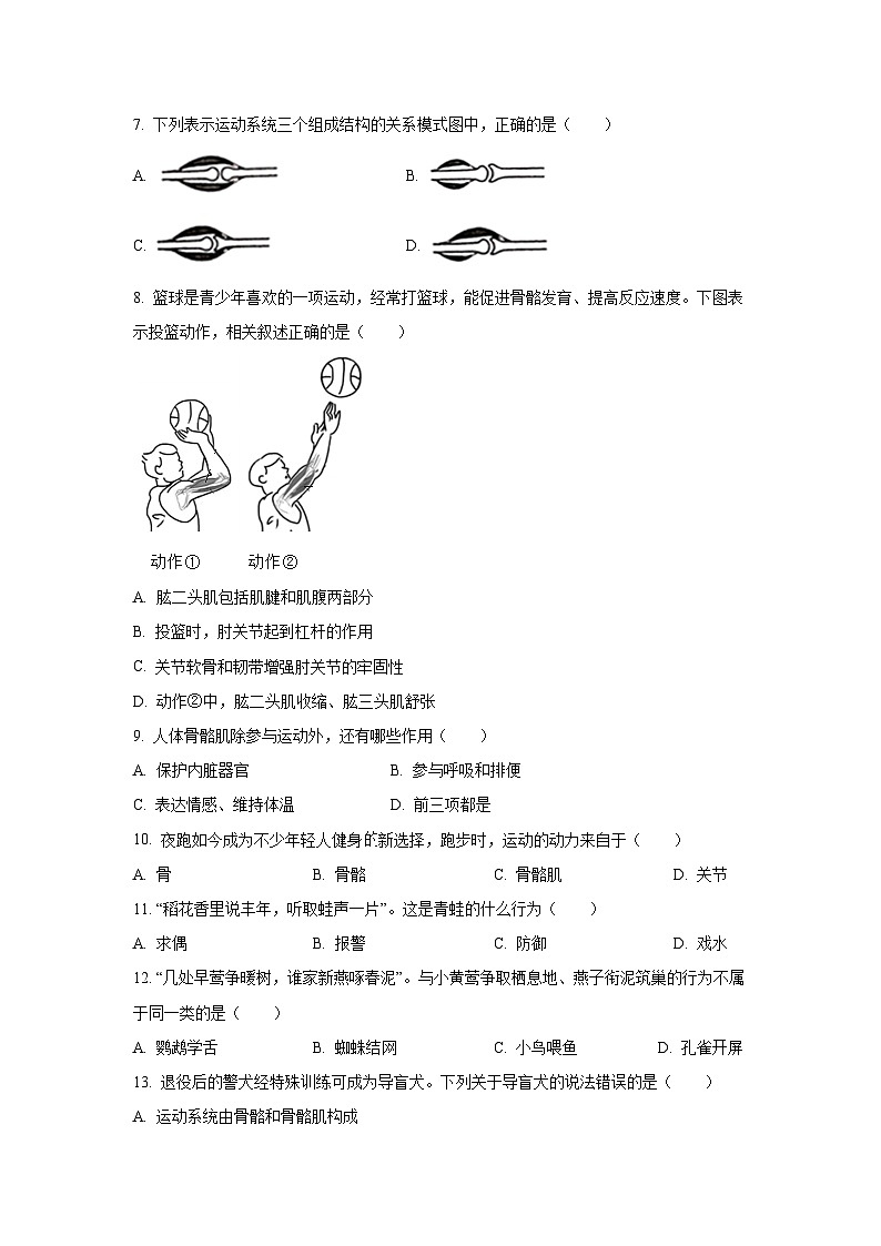 广东省湛江市徐闻县2024-2025学年八年级上学期期中生物试卷(学生版)第2页