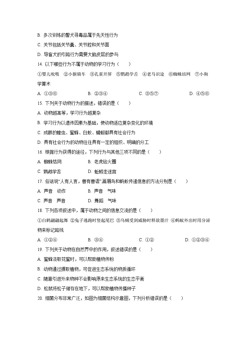 广东省湛江市徐闻县2024-2025学年八年级上学期期中生物试卷(学生版)第3页