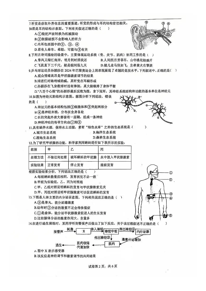 2025-2026学年广东省广州市清华附中湾区学校八年级(上)期中生物试卷第2页