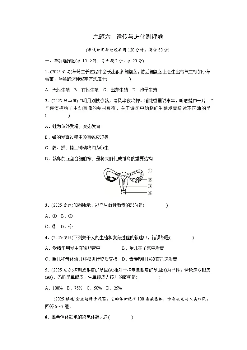 主题六遗传与进化测评卷 - 学生版第1页