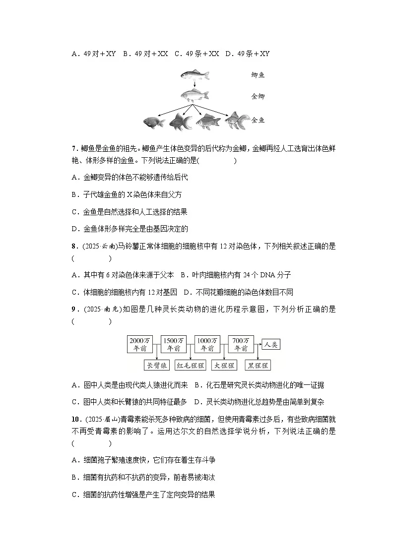 主题六遗传与进化测评卷 - 学生版第2页