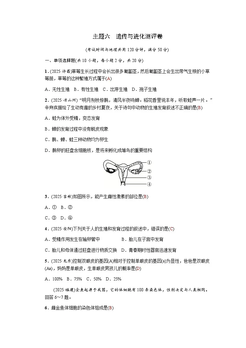 主题六遗传与进化测评卷第1页