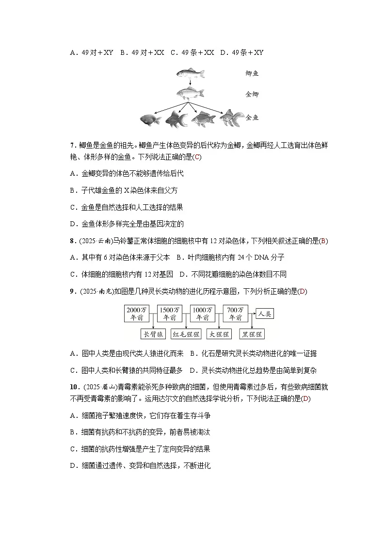 主题六遗传与进化测评卷第2页