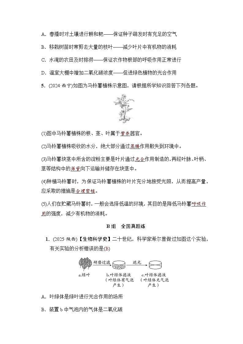 第9课时绿色植物的光合作用和呼吸作用第2页