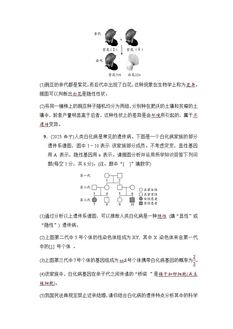 第17课时生物的遗传与变异第3页