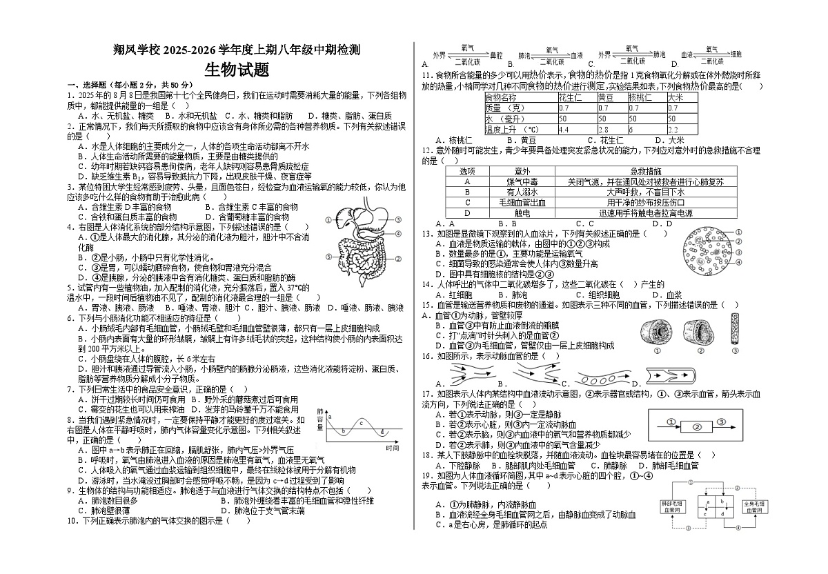 四川省广安市岳池县翔凤学校2025-2026学年八年级上学期中期检测生物试题(含答案)第1页