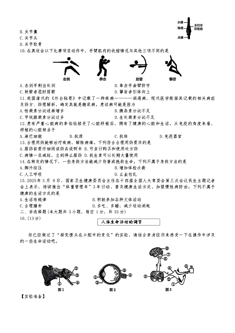 山西省忻州市五寨县部分学校2025-2026学年八年级上学期中生物试卷(含答案)第2页