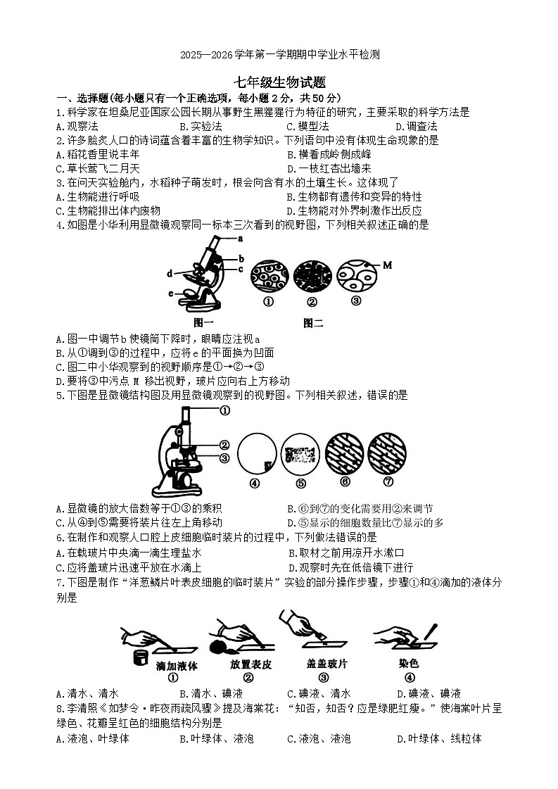 山东省聊城市冠县2025-2026学年七年级上学期11月期中考试生物试卷(含答案)第1页