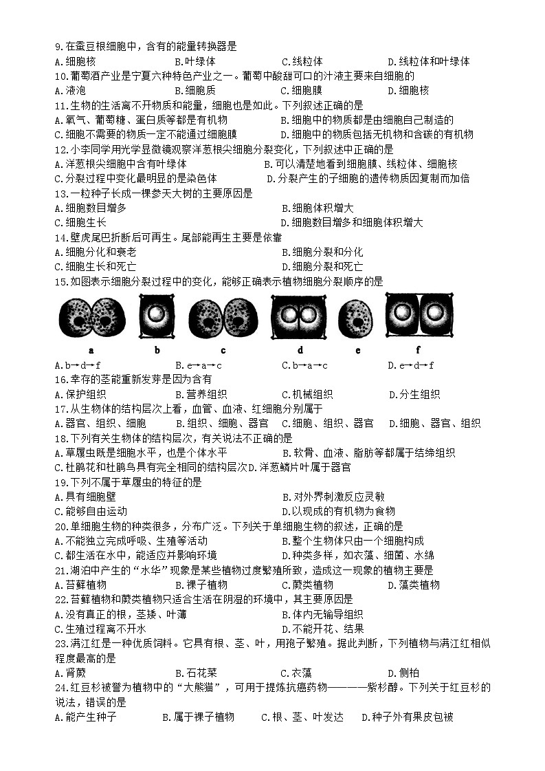山东省聊城市冠县2025-2026学年七年级上学期11月期中考试生物试卷(含答案)第2页