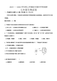湖北省孝感市孝昌县2025-2026学年七年级上学期11月期中生物试题（含答案）