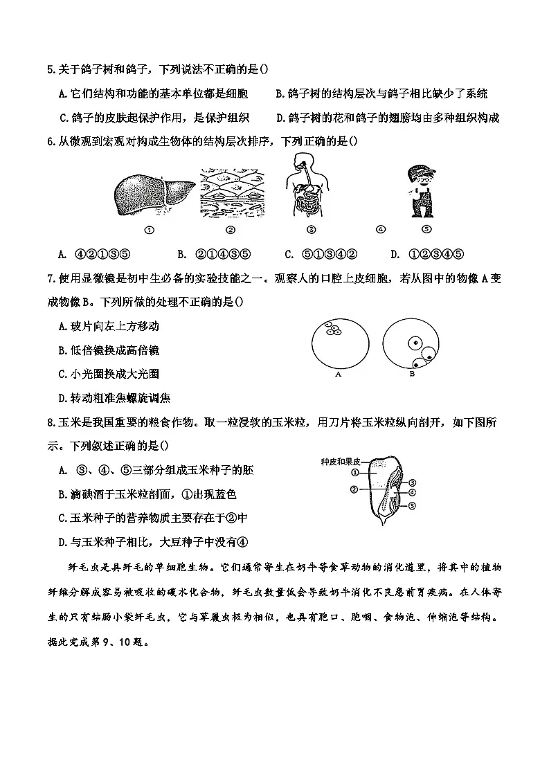 湖北省孝感市孝昌县2025-2026学年七年级上学期11月期中生物试题(含答案)第2页