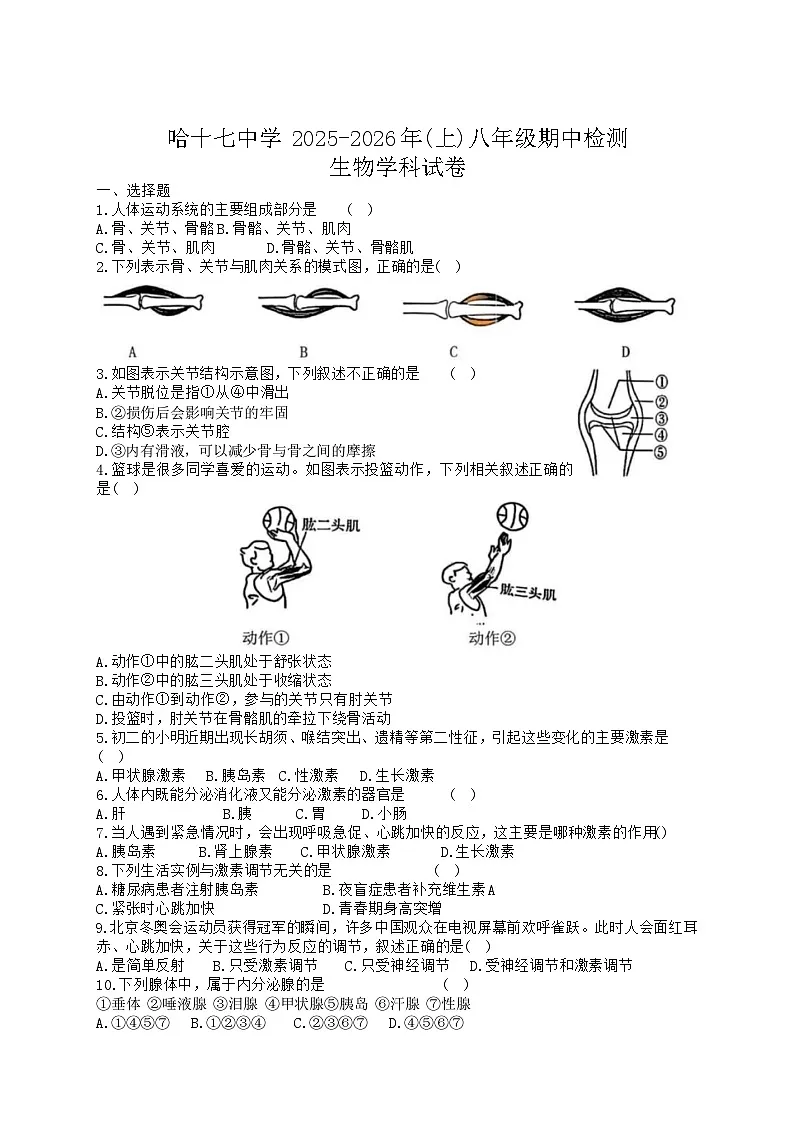 黑龙江省哈尔滨市第十七中学校2025-2026学年八年级上学期期中生物试题(含答案)第1页