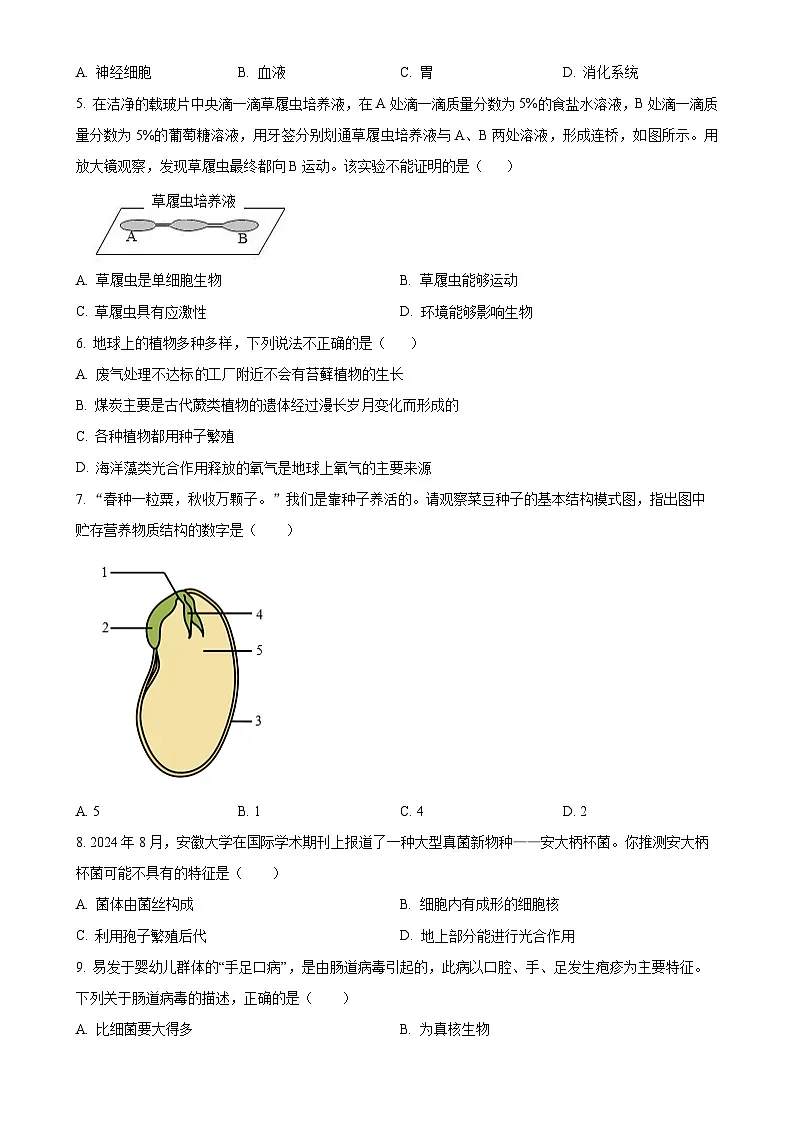 安徽省亳州市谯城区2七年级上学期期末生物试题(原卷版)-A4第2页