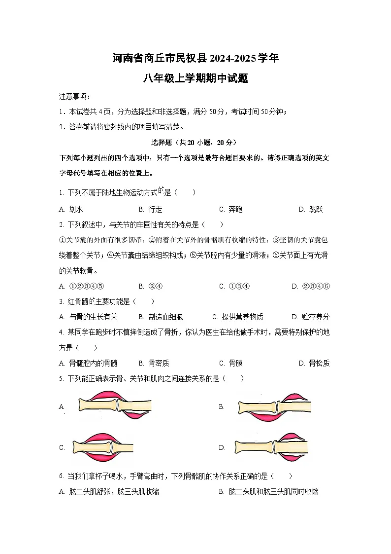 河南省商丘市民权县2024-2025学年八年级上学期期中生物试卷(学生版)第1页