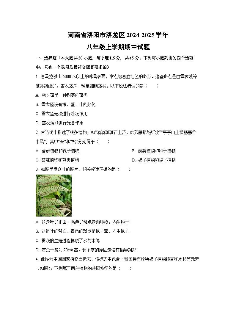 河南省洛阳市洛龙区2024-2025学年八年级上学期期中生物试卷(学生版)第1页