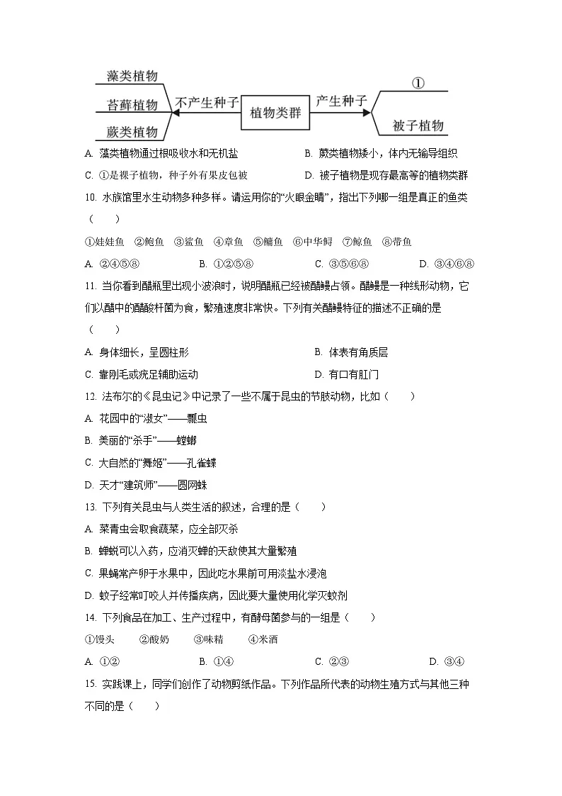 河南省洛阳市洛龙区2024-2025学年八年级上学期期中生物试卷(学生版)第3页