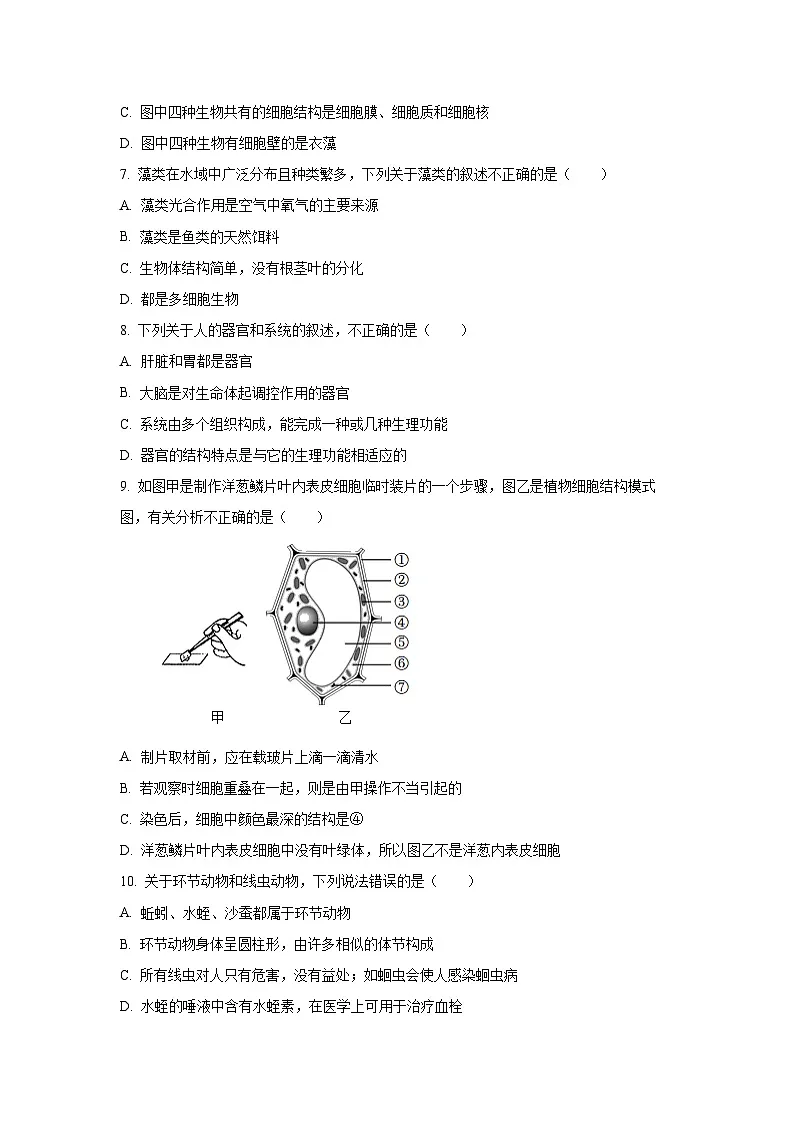 河北省秦皇岛市青龙县2025-2026学年七年级上学期期中生物试卷(学生版)第2页
