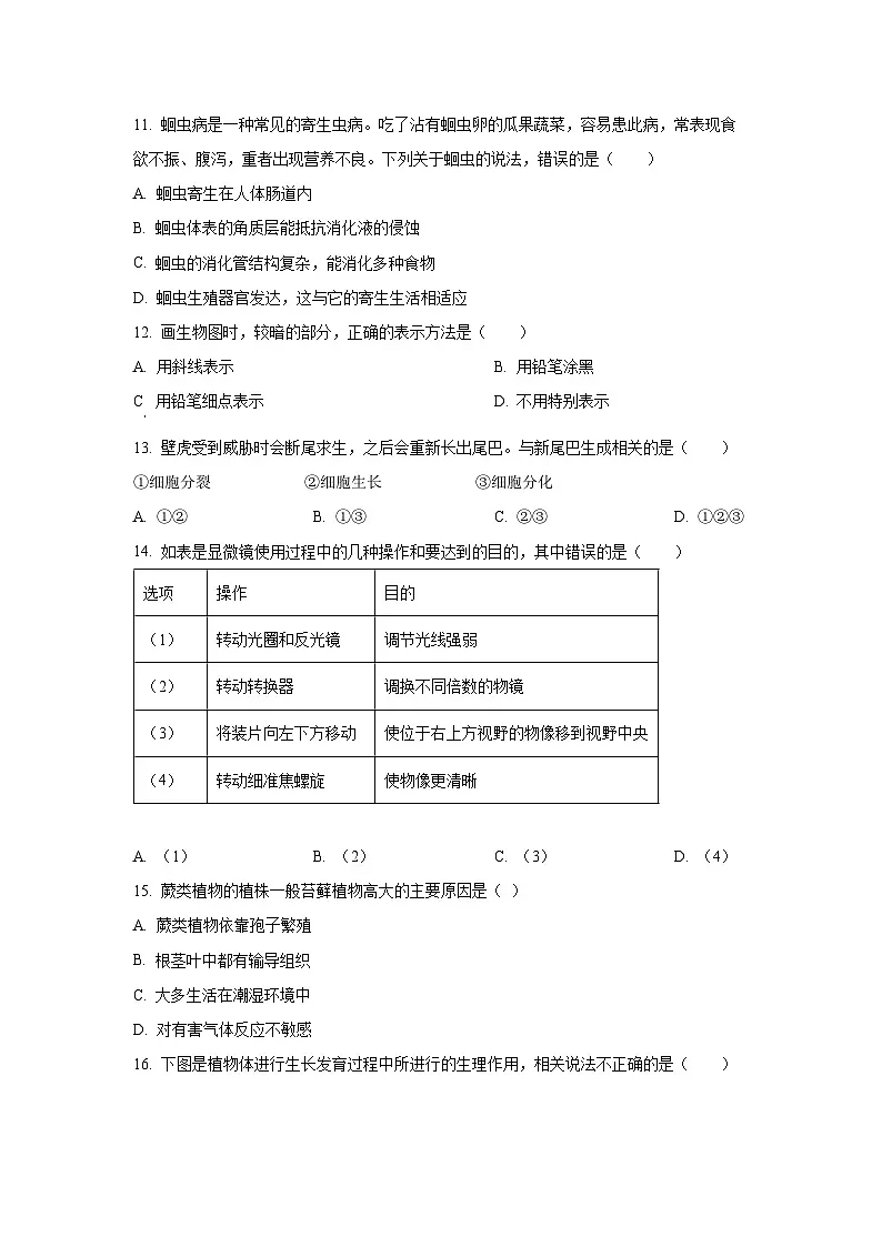 河北省秦皇岛市青龙县2025-2026学年七年级上学期期中生物试卷(学生版)第3页