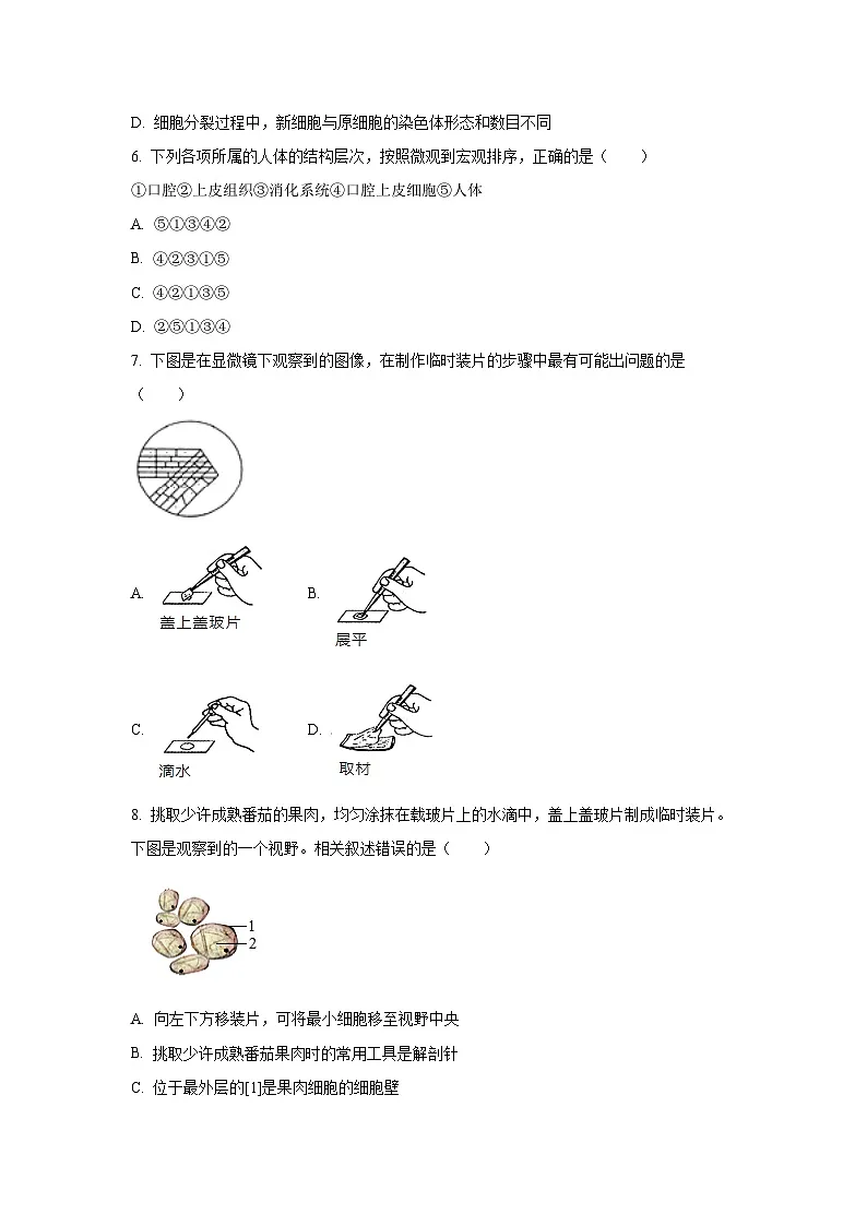 黑龙江省齐齐哈尔市部分学校2025-2026学年七年级上学期期中生物试卷(学生版)第2页