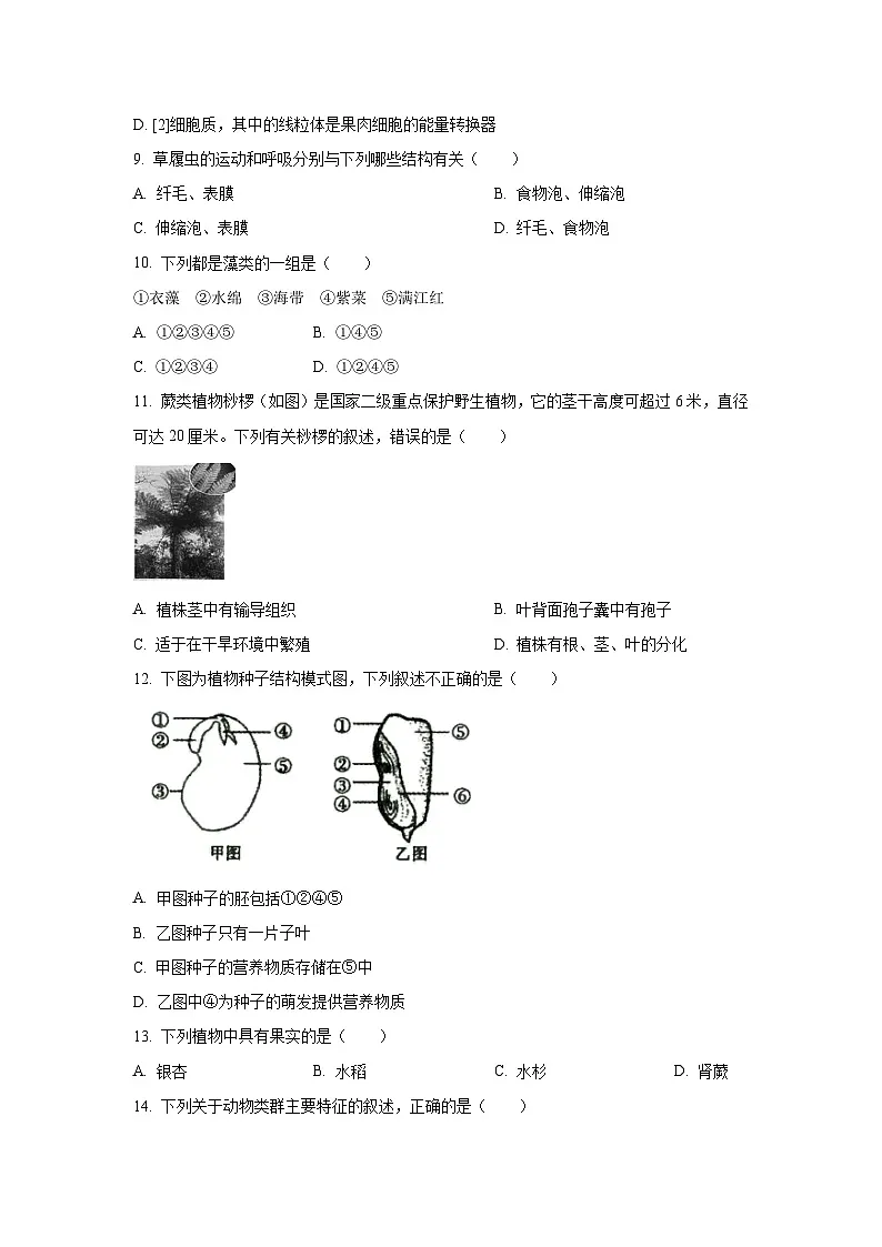 黑龙江省齐齐哈尔市部分学校2025-2026学年七年级上学期期中生物试卷(学生版)第3页