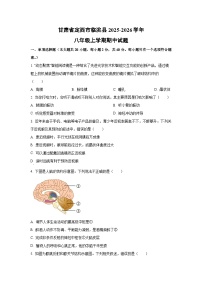 甘肃省定西市临洮县2025-2026学年八年级上学期期中生物试卷（学生版）