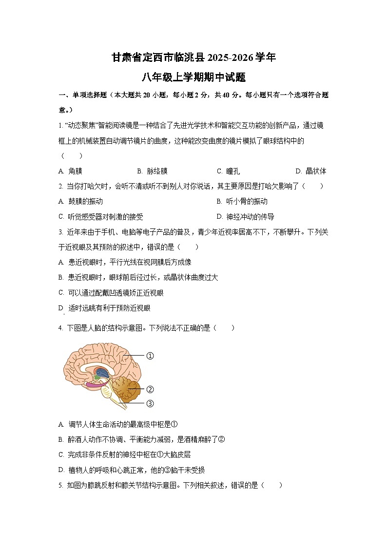 甘肃省定西市临洮县2025-2026学年八年级上学期期中生物试卷(学生版)第1页