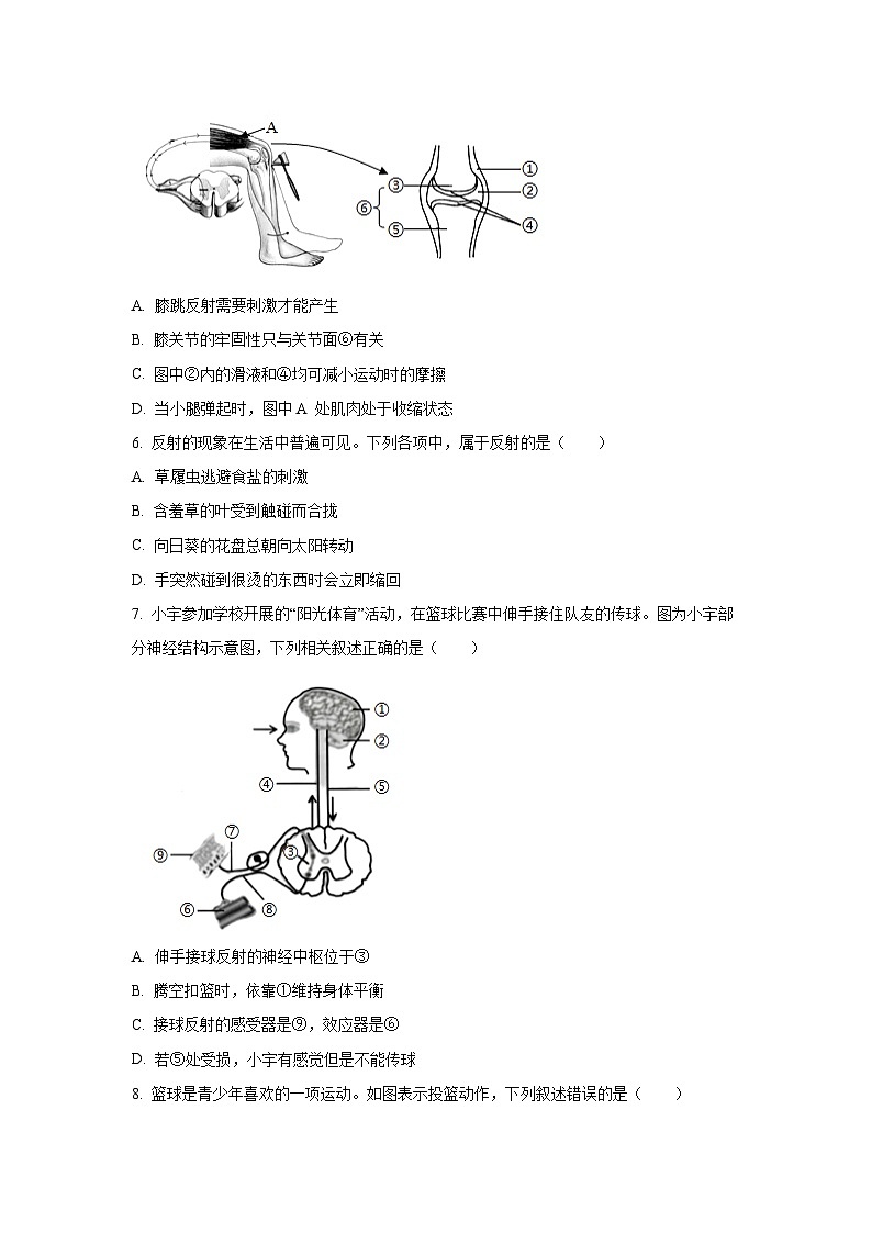 甘肃省定西市临洮县2025-2026学年八年级上学期期中生物试卷(学生版)第2页