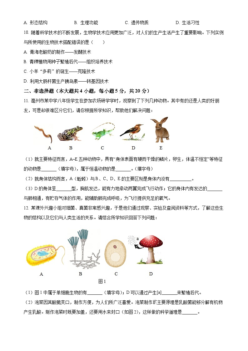 2025年安徽省亳州市利辛县八年级中考一模生物试题-A4第3页