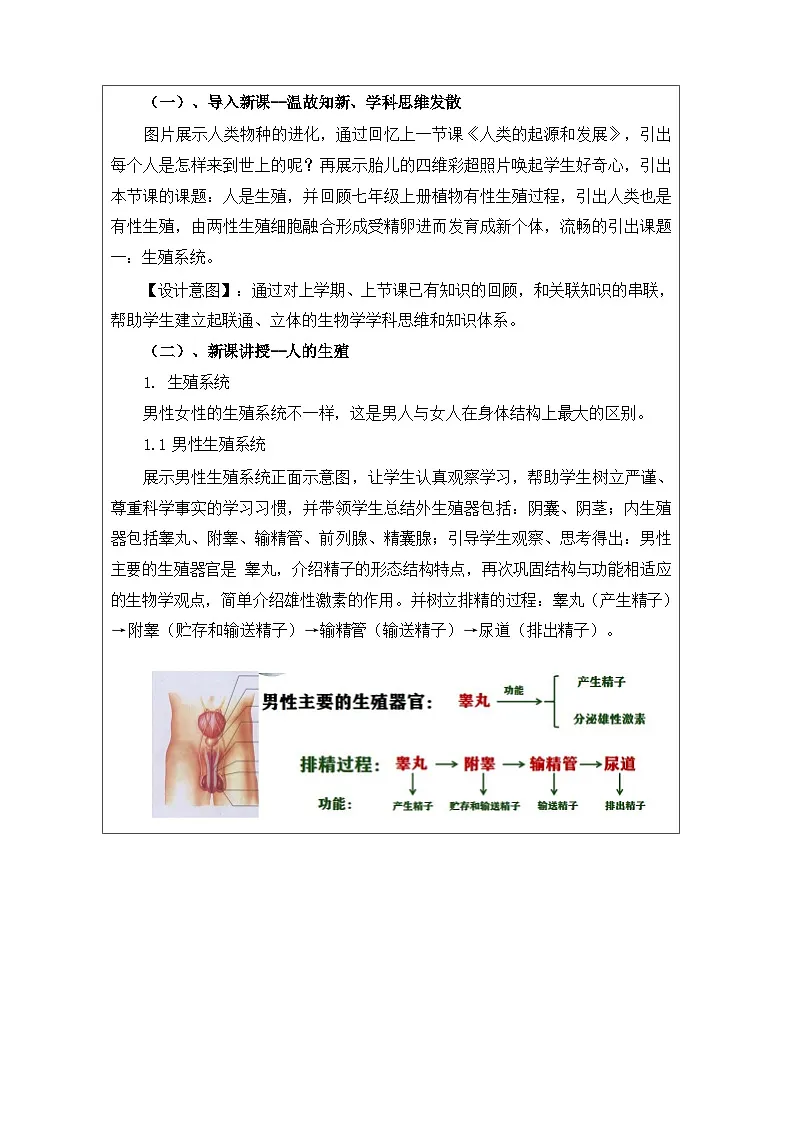 人教版初中生物七年级下册(2024)4.1.1 人的生殖【教学设计】第2页