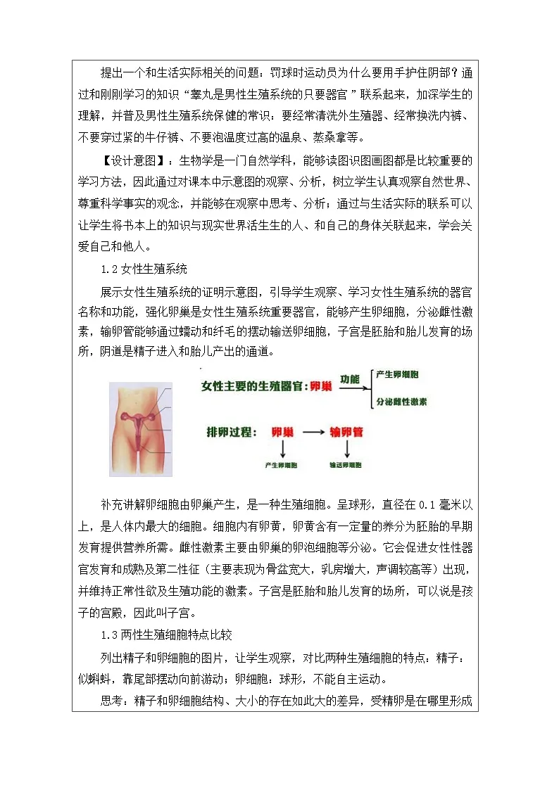 人教版初中生物七年级下册(2024)4.1.1 人的生殖【教学设计】第3页