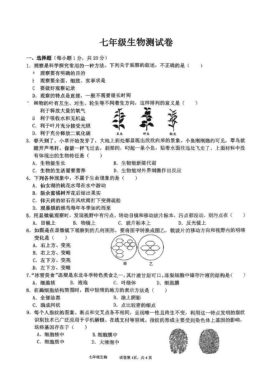 河南省鹤壁市浚县五校联考2025-2026学年七年级上学期11月期中生物试题第1页