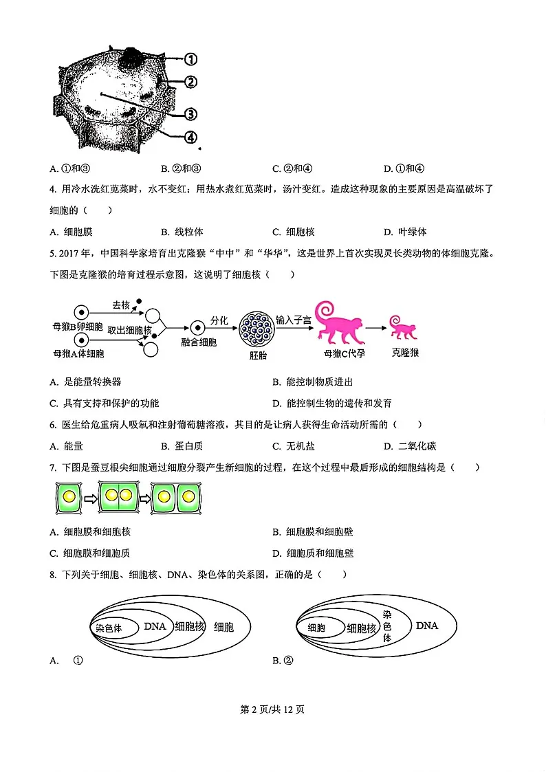 2024-2025学年七年级上学期海珠区期末考试生物试卷(含答案)第2页