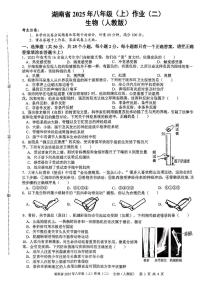 湖南省娄底市新化县2025-2026学年八年级上学期期中考试生物试卷
