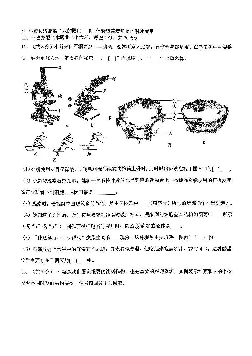 湖北省孝感市汉川市四校教联体2025-2026学年七年级上学期11月期中生物试题第2页