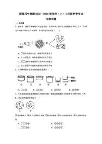 辽宁省鞍山市海城市第四中学教育集团2025-2026学年七年级上学期期中生物试题